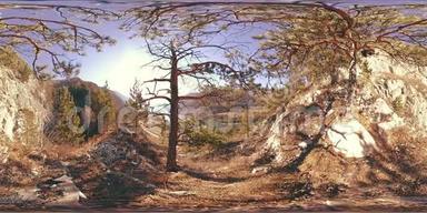 秋天阳光明媚的时候，一个山景的VR。 野山，松树和巨大的岩石..