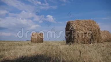 农业生活方式<strong>农耕</strong>概念慢动作视频.. 在美丽的蓝色多云天空下麦田上的干草堆