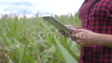 智慧<strong>生态农业</strong>养殖理念.. 农民女孩植物研究人员在检查玉米时使用并触摸平板电脑