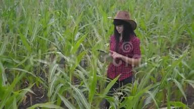 智慧<strong>生态农业</strong>养殖理念.. 农民女孩植物研究员在检查玉米时使用和触摸平板电脑