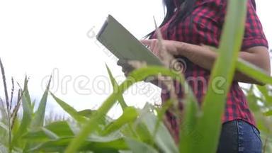 智慧生态农业养殖理念.. 农民生活方式女孩植物研究员在检查时使用并触摸平板电脑