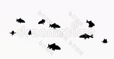 一组黑鱼游泳，3D卡通，动物剪影。