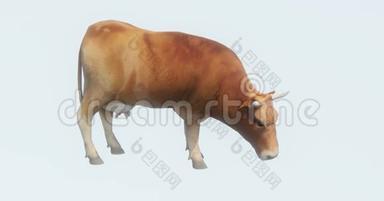 牛吃草，3D<strong>卡通</strong>，牲畜，动物轮廓。