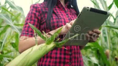 智慧生态农业养殖理念.. 植物研究人员在检查时使用触摸平板电脑的生活方式农民女孩
