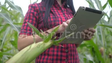 智慧生态农业养殖理念.. 农民女孩的生活方式植物研究者在检查时使用触摸平板电脑