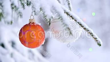 在冬天的森林里，在灯光的背景下，在白雪覆盖的活泼的树上特写一个圣诞玩具。 小型自由度