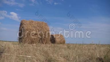 农业养殖概念慢动作视频.. 干草堆在美丽的蓝色多云天空下的麦田生活方式