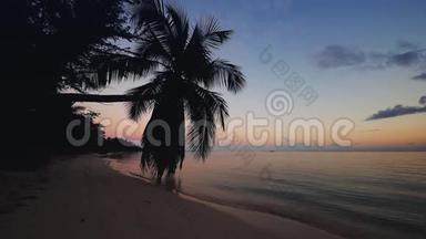 热带天堂岛海滩和海边的日出，<strong>椰树</strong>