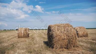 农业农业概念慢镜头。美丽的蓝天下麦田上的干草堆。农业