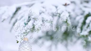 在冬天<strong>的</strong>森林里，在灯光<strong>的背景</strong>下，在白雪覆盖<strong>的活泼的</strong>树上特写一个圣诞玩具。 小型自由度