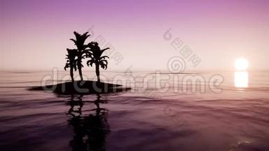 海洋上的日出，有棕榈树
