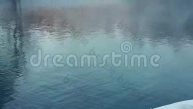 冬天森林里的薄雾笼罩着河流。 冬天的河流上有雾。 冬季公园的河流