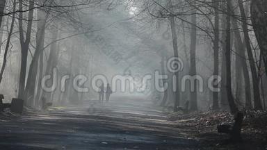 波兰森林中<strong>浓</strong>雾</strong>中的道路和阳光。