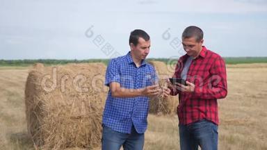 团队农业生活方式智慧农业理念.. 两个男人的农民工人在一片田野上研究干草堆