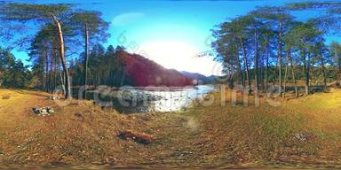 360VR虚拟现实的一片野山，松林和河流流淌.. 国家公园，草地和阳光。