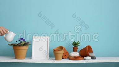 <strong>现代</strong>客房装饰与<strong>相框</strong>模型。 白色的架子，贴着青绿色的墙壁，上面有陶器和肉质植物。 手
