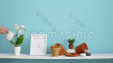 <strong>现代</strong>客房装饰与<strong>相框</strong>模型。 白色的架子，贴着青绿色的墙壁，上面有陶器和肉质植物。 手