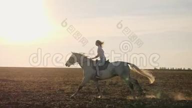 日落时分，年轻的金发女孩<strong>骑着马</strong>在田野上