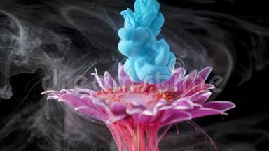 五颜六色的颜料墨水把一朵花注入水中