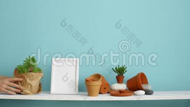 现代客房装饰与相框模型。 白色的架子，贴着青绿色的墙壁，上面有陶器和肉质植物。 手