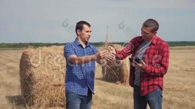 团队农业智慧农业生活方式理念.. 两个男人的农民工人在一片田野上研究干草堆
