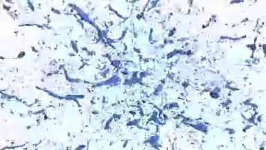 溅出蓝色的颜料.. 爆炸流体-液体在缓慢运动中爆炸。 阿尔法通道面罩包括全高清3D