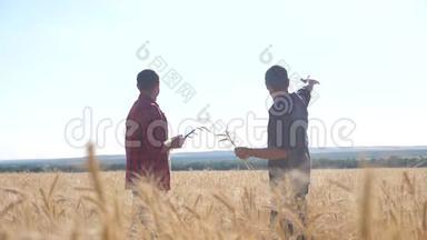 团队合作智能生活方式农业慢动作<strong>视频</strong>。两个农民在麦田里<strong>干活</strong>。农民在探索学习。男人