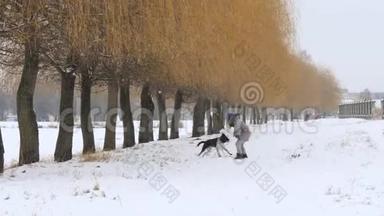 美丽开朗的女孩在雪地里遛狗。