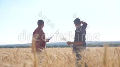 团队合作智能农业慢动作生活方式视频.. 两个农民在麦田工作。 农民探索正在研究。 男人