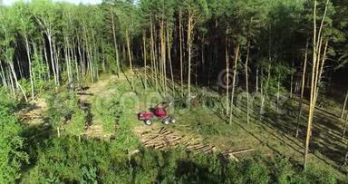 工业规模的森林<strong>砍</strong>伐、空中伐木、老松林的森林<strong>砍</strong>伐、随之而来的森林<strong>砍</strong>伐