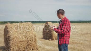 智慧农耕<strong>生活</strong>方式农业理念.. 一名农民工人在数字平板电脑上的田野里研究干草堆。 <strong>慢慢慢慢</strong>