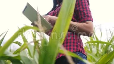 智慧<strong>生态农业</strong>养殖理念.. 农民女孩植物研究员使用和触摸生活方式平板电脑，同时检查