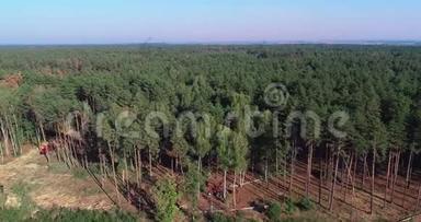 砍伐鸟瞰图，工业规模的砍伐<strong>森林</strong>，使用特殊设备砍伐<strong>森林</strong>，砍伐<strong>森林</strong>