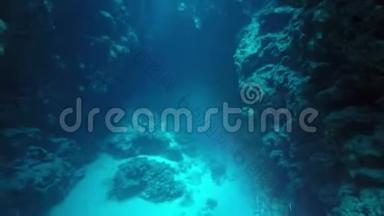 埃及达哈布在红海潜水