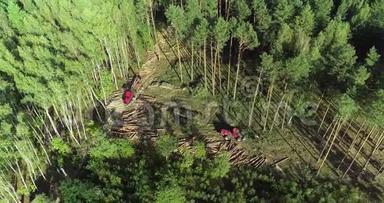 森林采伐、木材收割机、特种设备森林采伐