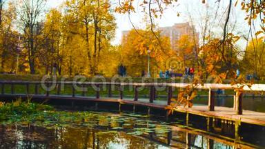 秋天的风景，公园里的湖。 秋季季节