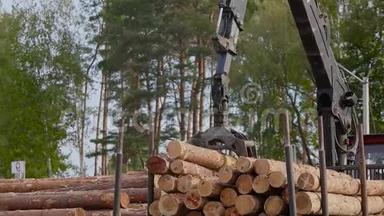 锯木厂工作流程，原木卸货，原木卡车