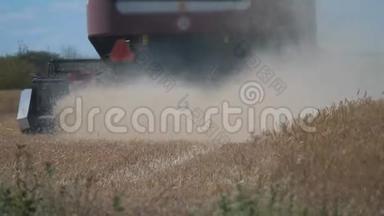 联合收割机收割小麦. 慢动作视频。 农业收获概念。 联合收割机在一个领域