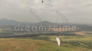 运动员滑翔伞飞行在他的滑翔伞旁边的燕子。 无人驾驶飞机的后续射击