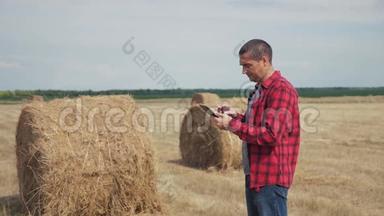 智慧农业理念.. 生活方式男子农<strong>民工</strong>人在数字平板电脑上的田野上研究干草堆。 慢慢慢慢