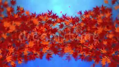 枝带红叶在飘落.. 传统的秋叶风景优美，日式典雅。 循环动画。