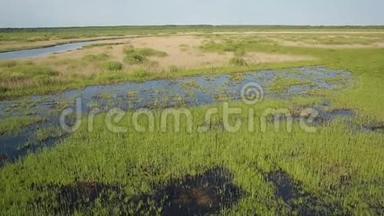 河谷附近沼泽土地的鸟瞰图