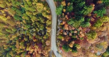 在五彩缤纷的秋林中，汽<strong>车</strong>在公路上行驶，俯瞰空中<strong>俯视</strong>图。秋橙、绿、黄、红的树林