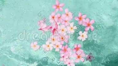 热带花卉frangipani梅花，莱拉瓦德漂浮在水中。 水疗池。 平静与<strong>安宁</strong>。