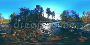 360VR虚拟现实的一片野山，松林和河流流淌.. 国家公园，草地和阳光。