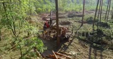 在卡车上装载原木，在森林里装载原木，机械手装载原木
