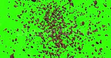数字动画咖啡豆在绿色屏幕上的旋涡中飞舞，颜色关键背景<strong>淡出</strong>，循环无缝