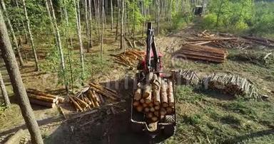 在卡车上装载原木，在森林里装载原木，机械手装载原木