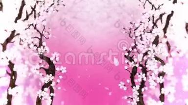 樱花盛开。 樱桃树枝。 樱花粉红色.. 樱花粉色背景.. CG循环动画。
