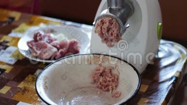 用绞肉机烹调肉肉